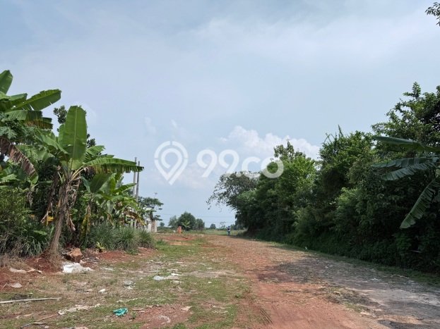 Jarang Ada! Tanah di Campaka Punya Luas 7037m2 - Jarang Ada! Tanah di Campaka Punya Luas 7037m2 -