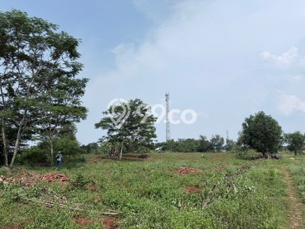 Jarang Ada! Tanah di Campaka Punya Luas 7037m2 - Jarang Ada! Tanah di Campaka Punya Luas 7037m2 -