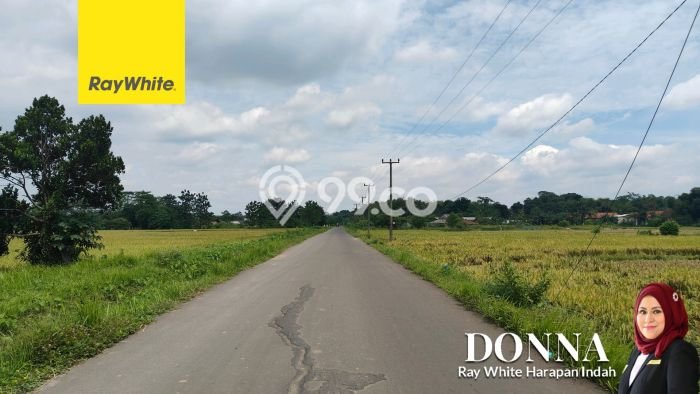 Untuk Dijual Tanah di Serang Cibarusah Cikarang Luas 10063m2 SHM Untuk Dijual Tanah di Serang Cibarusah Cikarang Luas 10063m2 SHM