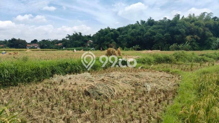 Untuk Dijual Tanah di Serang Cibarusah Cikarang Luas 10063m2 SHM Untuk Dijual Tanah di Serang Cibarusah Cikarang Luas 10063m2 SHM