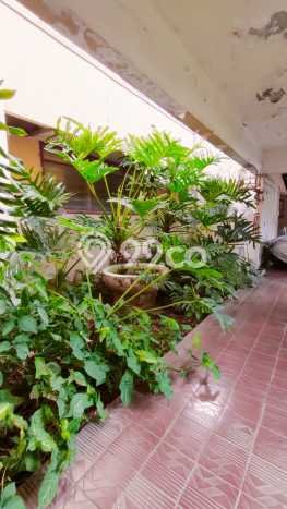 PROMO SPESIAL! Rumah Ready Stock lokasi Pulomas, Jakarta Timur, LT 658m² Bangunan 400m² PROMO SPESIAL! Rumah Ready Stock lokasi Pulomas, Jakarta Timur, LT 658m² Bangunan 400m²
