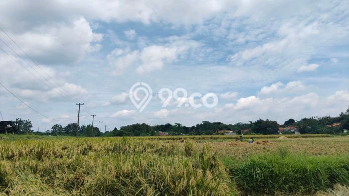 Untuk Dijual Tanah di Serang Cibarusah Cikarang Luas 10063m2 SHM Untuk Dijual Tanah di Serang Cibarusah Cikarang Luas 10063m2 SHM