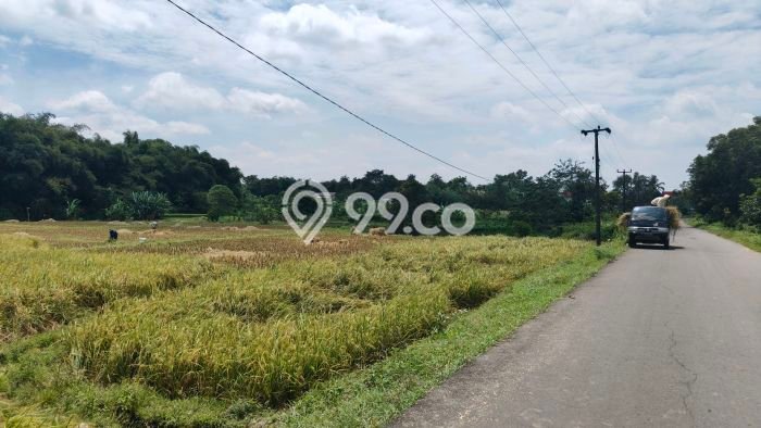 Untuk Dijual Tanah di Serang Cibarusah Cikarang Luas 10063m2 SHM Untuk Dijual Tanah di Serang Cibarusah Cikarang Luas 10063m2 SHM