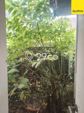 Rumah Modern 2 KT di Cikupa Citra Raya Tangerang Unfurnished Rumah Modern 2 KT di Cikupa Citra Raya Tangerang Unfurnished