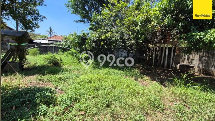 For Sale Rumah 2 Kamar Lokasi Strategis Bagus dan Strategis di Curug For Sale Rumah 2 Kamar Lokasi Strategis Bagus dan Strategis di Curug