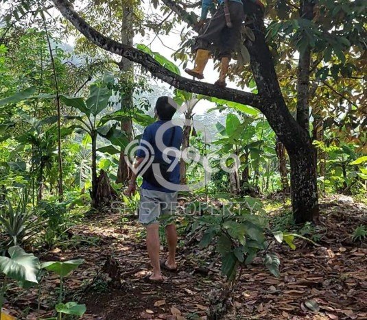 Tanah Dijual Lokasi Cipatat Bandung Barat SHM Tanah Dijual Lokasi Cipatat Bandung Barat SHM