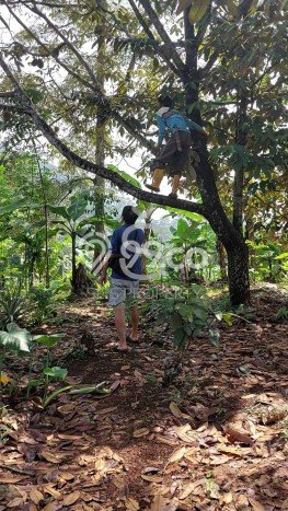 Tanah Dijual Lokasi Cipatat Bandung Barat SHM Tanah Dijual Lokasi Cipatat Bandung Barat SHM