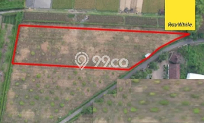 HARGA TERBAIK! Tanah di Dlanggu, Luas 5279m2m², Akses Jalan Raya, Cocok untuk Hunian HARGA TERBAIK! Tanah di Dlanggu, Luas 5279m2m², Akses Jalan Raya, Cocok untuk Hunian