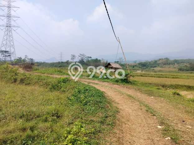 Tanah Kavling di Leuwisadeng Dijual dengan Luas 167631m2 Tanah Kavling di Leuwisadeng Dijual dengan Luas 167631m2