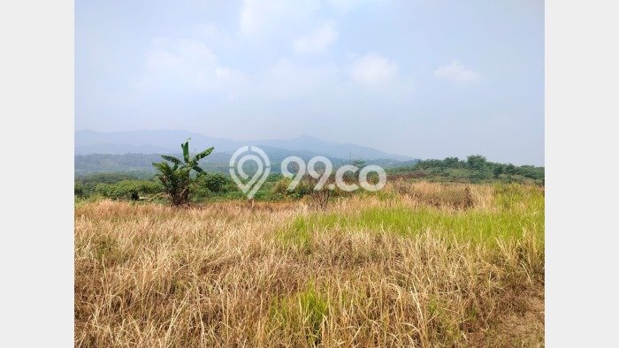 Tanah Kavling di Leuwisadeng Dijual dengan Luas 167631m2 Tanah Kavling di Leuwisadeng Dijual dengan Luas 167631m2