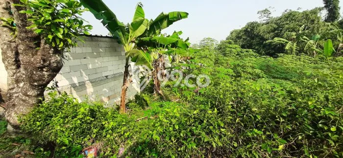 Tanah Dijual Lokasi Sawangan, Depok Luas 2126m2 Legalitas Aman Tanah Dijual Lokasi Sawangan, Depok Luas 2126m2 Legalitas Aman