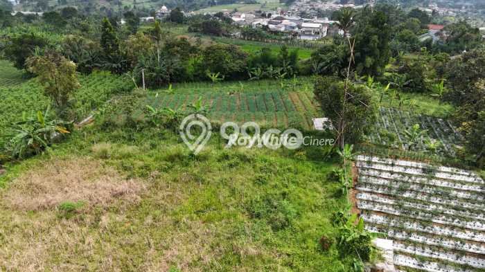 Dijual Tanah 10060m2 di Gadog, Bogor Dijual Tanah 10060m2 di Gadog, Bogor