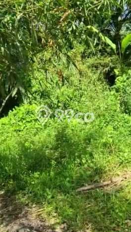 Tanah Dijual di Subang Seluas 200000m2 Strategis Tanah Dijual di Subang Seluas 200000m2 Strategis