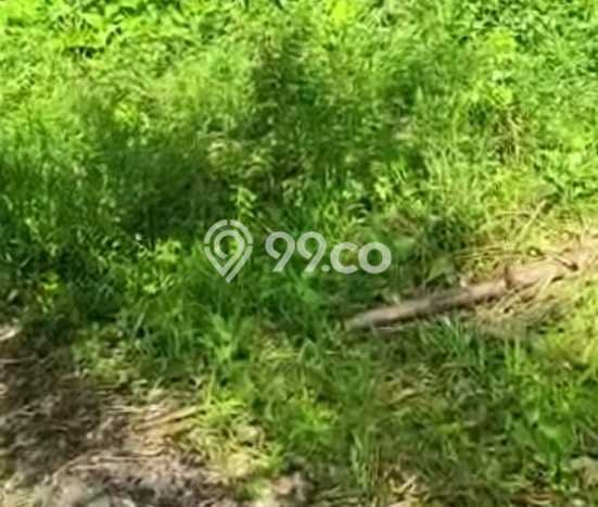 Tanah Dijual di Subang Seluas 200000m2 Strategis Tanah Dijual di Subang Seluas 200000m2 Strategis