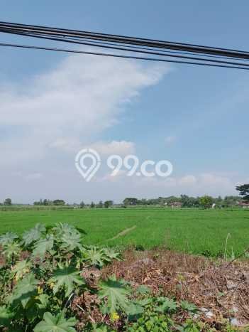 Jarang Ada! Tanah di Wonoasri Punya Luas 17356m2 SHM Jarang Ada! Tanah di Wonoasri Punya Luas 17356m2 SHM