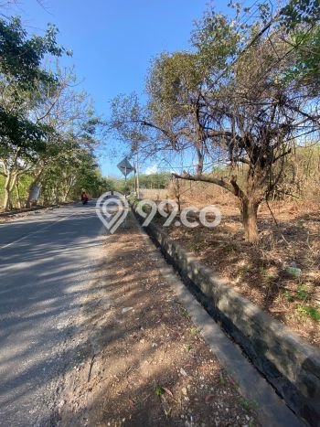 Untuk Dijual Tanah di Badung, Luas 2000m2 SHM Untuk Dijual Tanah di Badung, Luas 2000m2 SHM