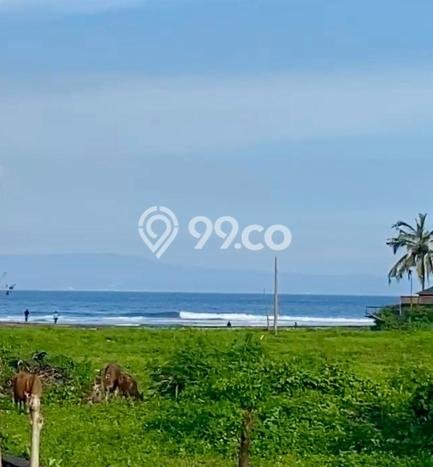 Tanah Kavling Dijual di Ketewel, Gianyar dengan Luas Tanah 2375m2 Tanah Kavling Dijual di Ketewel, Gianyar dengan Luas Tanah 2375m2