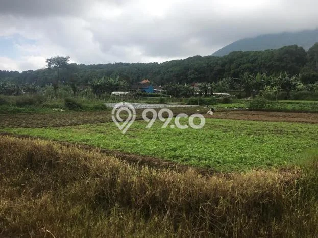 POTENSIAL! Tanah Kawasan Bedugul, Luas 265m2m², Area Berkembang POTENSIAL! Tanah Kawasan Bedugul, Luas 265m2m², Area Berkembang