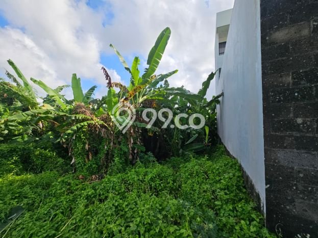 Tanah Strategis Dijual di Cemagi Badung 213m2 Tanah Strategis Dijual di Cemagi Badung 213m2