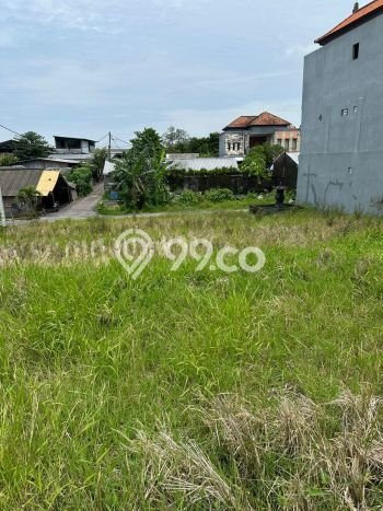 Tanah Kavling untuk Disewa di Mengwi Badung 900m2 Tanah Kavling untuk Disewa di Mengwi Badung 900m2