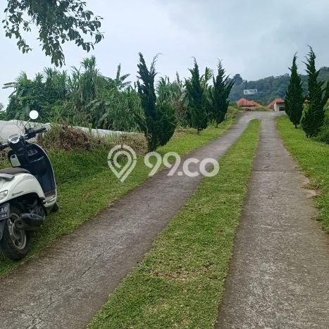 Lahan Dijual Lokasi Strategis di Tabanan dengan Luas 1000m2 Lahan Dijual Lokasi Strategis di Tabanan dengan Luas 1000m2