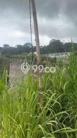Dijual Tanah di Bedugul, Luas 1500m2m², Lokasi Berkembang Dijual Tanah di Bedugul, Luas 1500m2m², Lokasi Berkembang