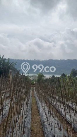 Dijual Tanah di Bedugul, Luas 1500m2m², Lokasi Berkembang Dijual Tanah di Bedugul, Luas 1500m2m², Lokasi Berkembang