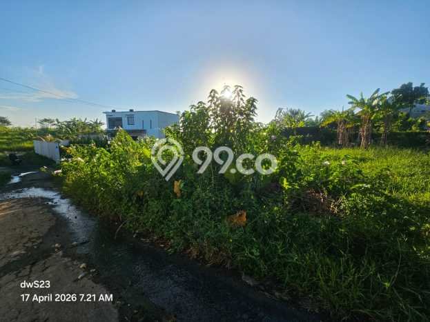 Kavling Tanah untuk Dijual di Kaba kaba, Tabanan, Luas 350m2 Kavling Tanah untuk Dijual di Kaba kaba, Tabanan, Luas 350m2