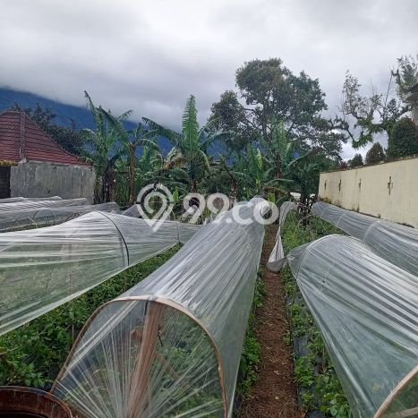 Dijual Tanah Lokasi Bedugul, Tabanan Seluas 500m2 Dijual Tanah Lokasi Bedugul, Tabanan Seluas 500m2