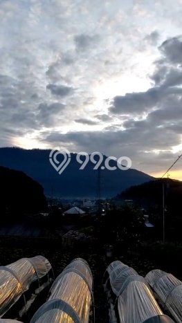 Jual Tanah Area Prospektif di Bedugul, Luas 330m2m², Akses Bedugul, Tabanan, Tabanan Jual Tanah Area Prospektif di Bedugul, Luas 330m2m², Akses Bedugul, Tabanan, Tabanan
