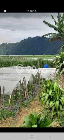 Tanah Kavling Dijual di Tabanan dengan Spesifikasi 500m2 Tanah Kavling Dijual di Tabanan dengan Spesifikasi 500m2
