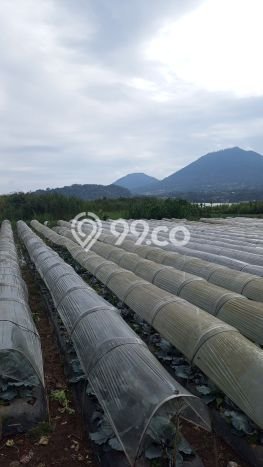 Tanah Dijual di Tabanan Seluas 3300m2 Strategis Tanah Dijual di Tabanan Seluas 3300m2 Strategis
