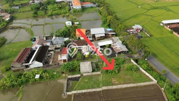 Kavling Tanah untuk Dijual di Tulikup, Gianyar, Luas 600m2 Kavling Tanah untuk Dijual di Tulikup, Gianyar, Luas 600m2