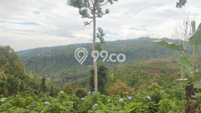 Tanah Dijual di Buleleng Seluas 3850m2 Strategis Tanah Dijual di Buleleng Seluas 3850m2 Strategis