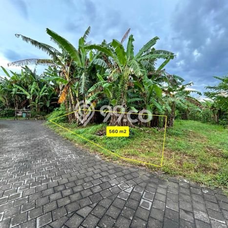 Tanah Dijual Area Strategis di Nyanyi Badung 560m2 Tanah Dijual Area Strategis di Nyanyi Badung 560m2