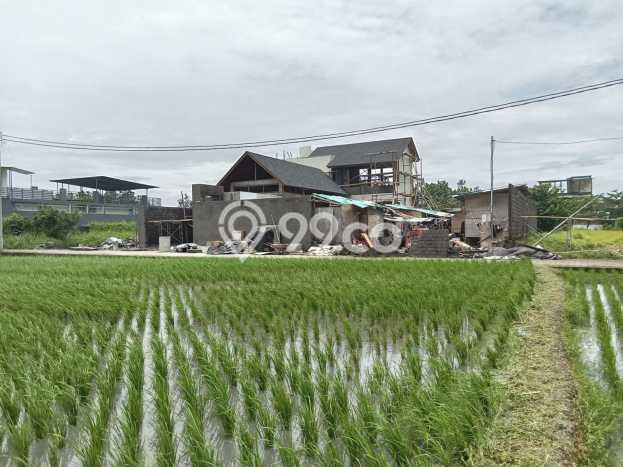 Tanah Dijual Area Strategis di Kedungu Tabanan 250m2 Tanah Dijual Area Strategis di Kedungu Tabanan 250m2