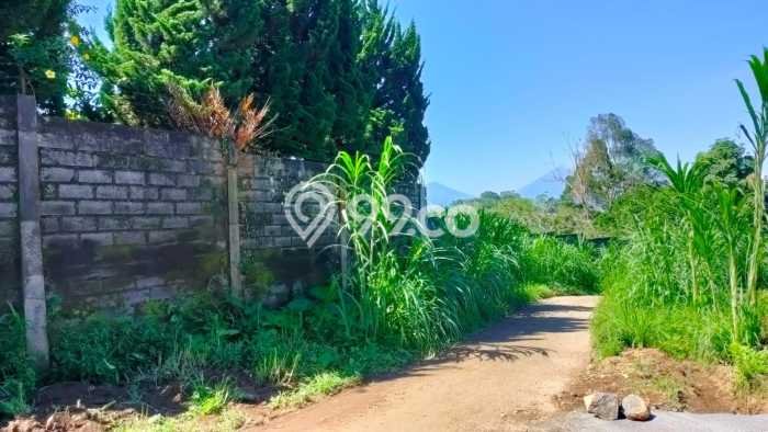 Tersedia Vila di Bedugul, Ukuran 1650m², Area Nyaman Tersedia Vila di Bedugul, Ukuran 1650m², Area Nyaman