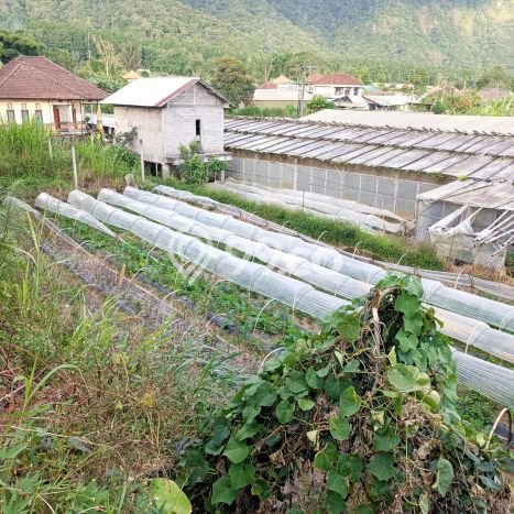 Untuk Dijual Tanah di Tabanan, Luas 2000m2 SHM Untuk Dijual Tanah di Tabanan, Luas 2000m2 SHM