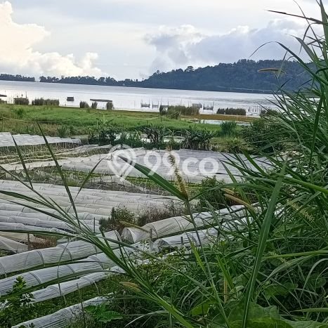 Untuk Dijual Tanah di Tabanan, Luas 2000m2 SHM Untuk Dijual Tanah di Tabanan, Luas 2000m2 SHM