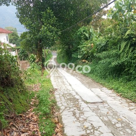 Tanah Siap Bangun Dijual di Tabanan Punya Luas 1500m2 Tanah Siap Bangun Dijual di Tabanan Punya Luas 1500m2