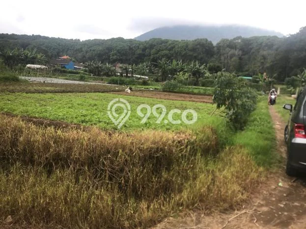 POTENSIAL! Tanah Kawasan Bedugul, Luas 265m2m², Area Berkembang POTENSIAL! Tanah Kawasan Bedugul, Luas 265m2m², Area Berkembang