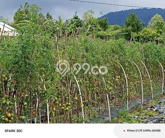 Dijual Tanah di , Luas 1200m2m², Lingkungan Nyaman, Kontur Datar Dijual Tanah di , Luas 1200m2m², Lingkungan Nyaman, Kontur Datar
