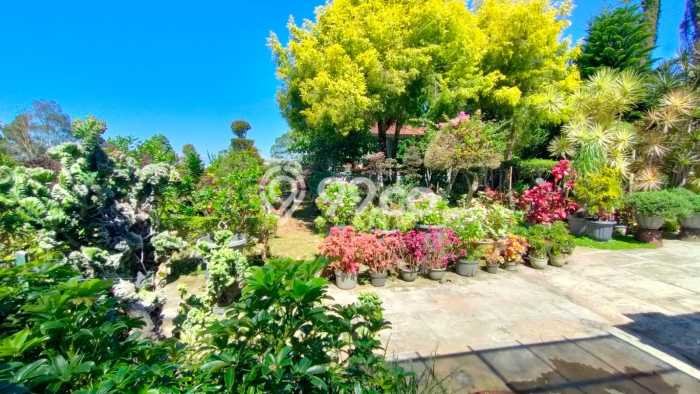 Tersedia Vila di Bedugul, Ukuran 1650m², Area Nyaman Tersedia Vila di Bedugul, Ukuran 1650m², Area Nyaman