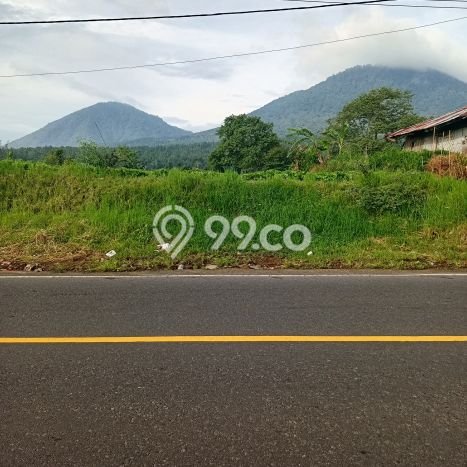 Dijual Tanah Lokasi Bedugul, Tabanan Seluas 3500m2 Dijual Tanah Lokasi Bedugul, Tabanan Seluas 3500m2