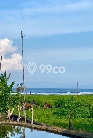 Tanah Kavling Dijual di Ketewel, Gianyar dengan Luas Tanah 2375m2 Tanah Kavling Dijual di Ketewel, Gianyar dengan Luas Tanah 2375m2