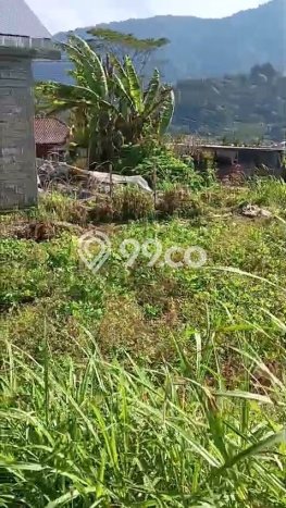 Tanah Dijual Area Strategis di Bedugul Tabanan 1300m2 Tanah Dijual Area Strategis di Bedugul Tabanan 1300m2