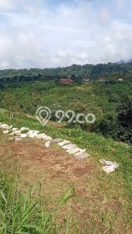 Untuk Dijual Tanah 22000m2 di Bedugul, Tabanan Untuk Dijual Tanah 22000m2 di Bedugul, Tabanan