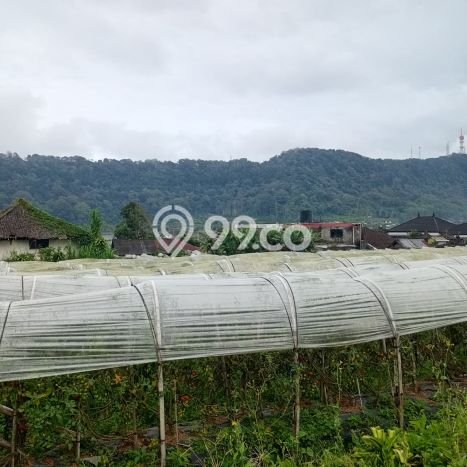 Tanah Kavling Dijual di Tabanan dengan Spesifikasi 500m2 Tanah Kavling Dijual di Tabanan dengan Spesifikasi 500m2