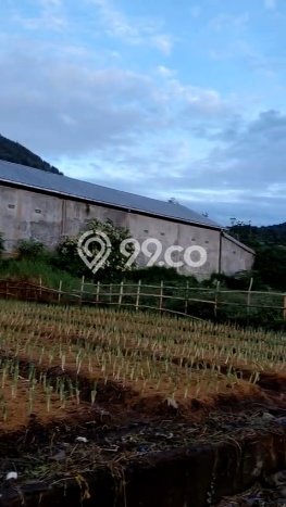 Jual Tanah Area Prospektif di Bedugul, Luas 330m2m², Akses Bedugul, Tabanan, Tabanan Jual Tanah Area Prospektif di Bedugul, Luas 330m2m², Akses Bedugul, Tabanan, Tabanan
