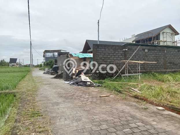 Tanah Dijual Area Strategis di Kedungu Tabanan 250m2 Tanah Dijual Area Strategis di Kedungu Tabanan 250m2